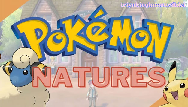 Guide Nature Dalam Pokemon: Tipe, Item, Makanan Penambah Status dan Cara Bertarung
